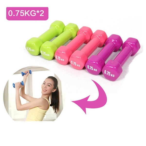 1.5kg Dip Multicolour in Dumbbell